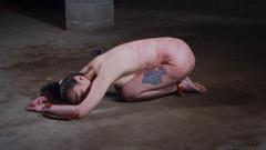 Dirty Chai Strun Up And Tortured Brutalmaster | Download from Files Monster