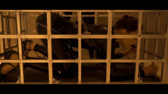 Nasty Spy Punished Hard | Download from Files Monster
