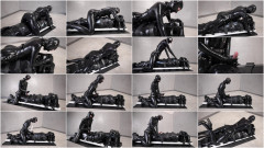 Board Stiff | Download from Files Monster