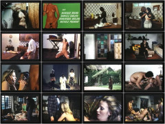 La Nymphomane Des Sleepings 1979 | Download from Files Monster