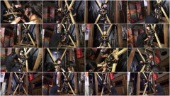 Zen Prison Studio - Pinnacle Of Li Ji Series 2 | Download from Files Monster
