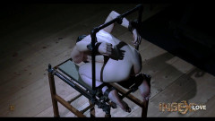 The Gallery | Download from Files Monster