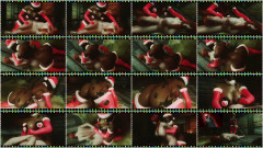 Rough X-Mas Fuck | Download from Files Monster