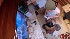 Harlemsex Sex gaming | Download from Files Monster