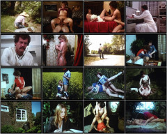 Die Superbumser 1980S | Download from Files Monster