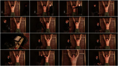 Mister X 1 | Download from Files Monster