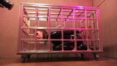 Cage Time | Download from Files Monster