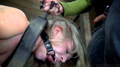 Reorientation Day  - Sarah Jane Ceylon | Download from Files Monster