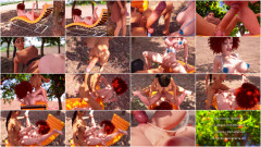 Orange Garden | Download from Files Monster