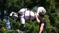 White Legorn | Download from Files Monster