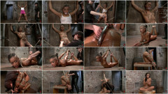 Skin Diamond Live Show - Complete Edited Version | Download from Files Monster
