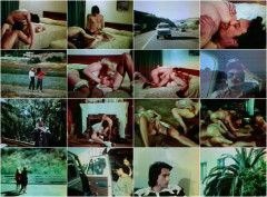 Over Easy 1978's | Download from Files Monster