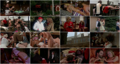 Indecent Exposure 1981 Part 6 | Download from Files Monster