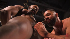 Super Milker: Max Konnor Gets His Huge Hard Cock Milked Dry | Download from Files Monster