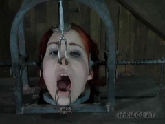 Machine Head - Calico | Download from Files Monster