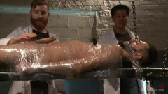 Health Inspectors and Mummify a Hot Piece of Meat | Download from Files Monster