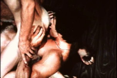 Pleasures In The Sun | Download from Files Monster