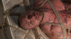 The Interrogation | Download from Files Monster