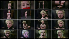 Cowgirl Live  Vol 2 | Download from Files Monster