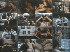 The Love Bus 1974S | Download from Files Monster