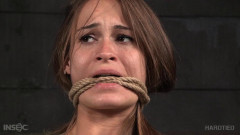 HD Bdsm Sex Videos Kacy Lane Xmas Bonus | Download from Files Monster