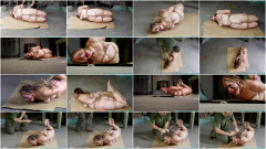 Rachel's Tight Box Hogtie - Part 3 | Download from Files Monster