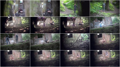 Hidden camera on the street | Download from Files Monster