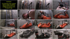 The Shackler Hogtie Frame | Download from Files Monster