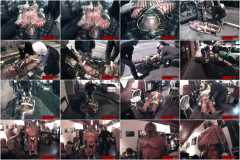 Night On The TownIn A Cage | Download from Files Monster
