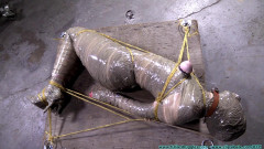 FutileStruggles - Diamondly Captured Mummified for Shipping | Download from Files Monster