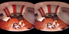 Convention Day VirtualRealPorn | Download from Files Monster