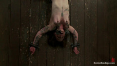 Laurie Dunn | Download from Files Monster