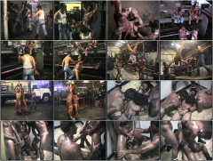 Steel Bondage Collection | Download from Files Monster