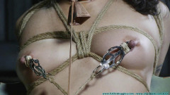 Wenona's Selfies - Part 4 Futilestruggles | Download from Files Monster