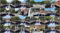 Lola Noir - MOOvie stars | Download from Files Monster