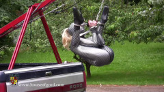 Bundled, Transported and hung out to dry | Download from Files Monster