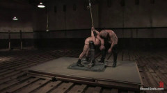 Ring The Bell | Download from Files Monster