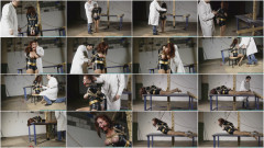  Revenge Gone Awry Table Tied and Tits Tied | Download from Files Monster