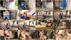 Law And Order | Download from Files Monster