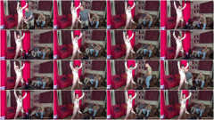 Terry's Machine Milking | Download from Files Monster