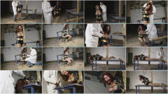 Superheroines Revenge Gone Awry - Table Tied Futilestruggles | Download from Files Monster