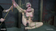 Cherry Picking | Download from Files Monster