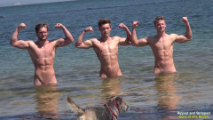 Ripped & Stripped 2015 | Download from Files Monster