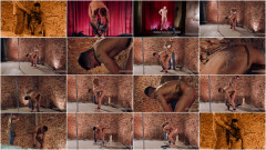 Rent-a-Boy Andrei - Part I | Download from Files Monster
