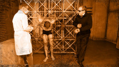 The Football Fans Story - Final Part Part 7 | Download from Files Monster