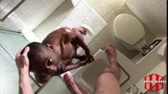 HH - Ass Up Get Fucked vol. 2 | Download from Files Monster