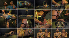 Max Ferro  ,Joseph Banks | Download from Files Monster