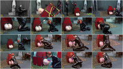 Dolly Delivery | Download from Files Monster