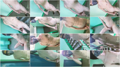 EXtremalchik vol. 69 | Download from Files Monster