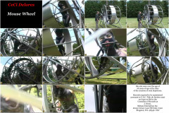 Jay winds up Ceci | Download from Files Monster